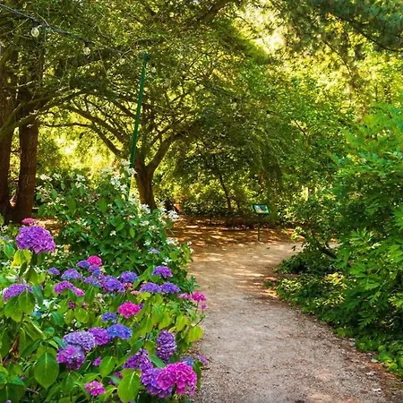 Casa de Férias Village